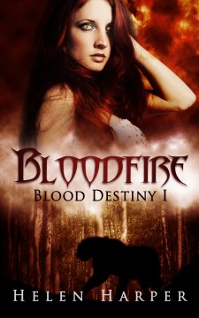 Bloodfire book cover